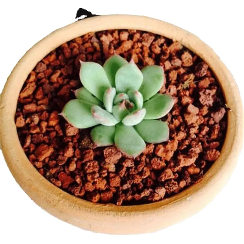 Factory Selling Cheap Price Red Volcanic Stone Volcanic Rock for Cooking Bbq Lava Rocks