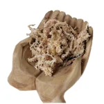 OEM Custom 10KG Phalaenopsis Dendrobium officinale Gardening Materials Sphagnum moss New Zealand Dried Chile For Plant Exporter