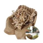 OEM Custom 10KG Phalaenopsis Dendrobium officinale Gardening Materials Sphagnum moss New Zealand Dried Chile For Plant Exporter