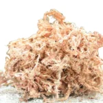 Wholesale Potted Flowers Succulent Long Fiber Sphagnum Moss New Zealand Natural Dry Sphagnum Moss Peat Moss for Plants